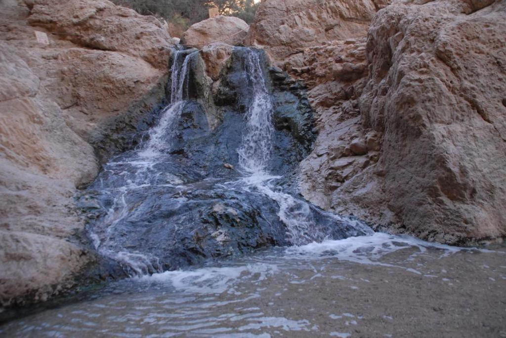 Ein Gedi Rooms Neve Zohar Buitenkant foto