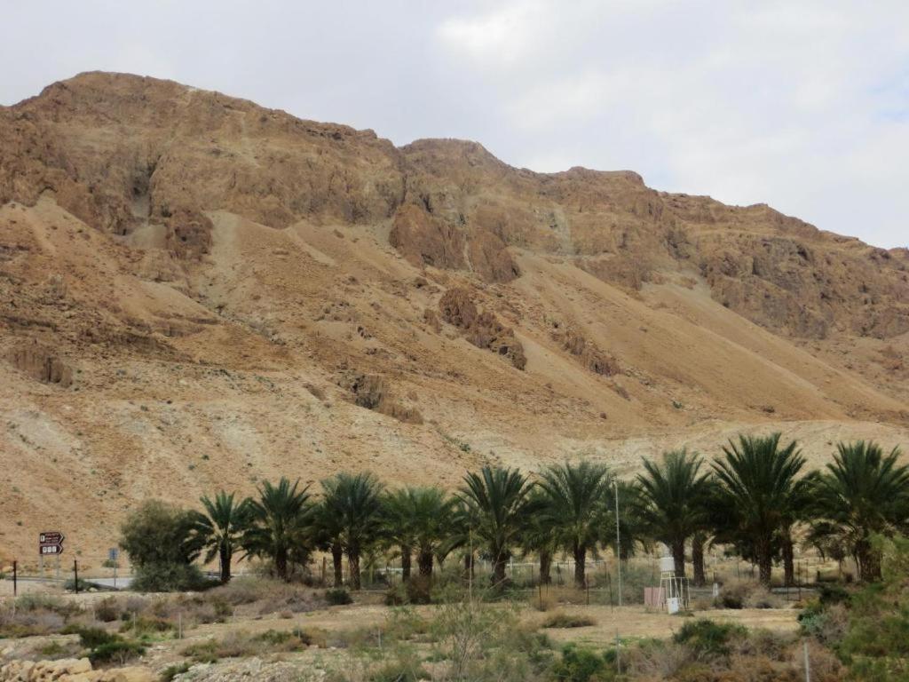 Ein Gedi Rooms Neve Zohar Buitenkant foto